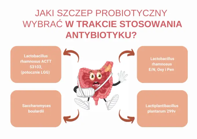 Zinnat - na co działa? Poznaj prawdę o antybiotyku!