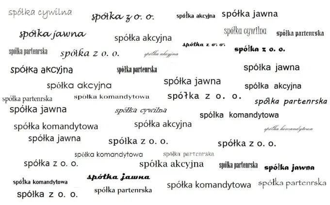 Rodzaje spółek w Polsce - jak wybrać najlepszą formę firmy?