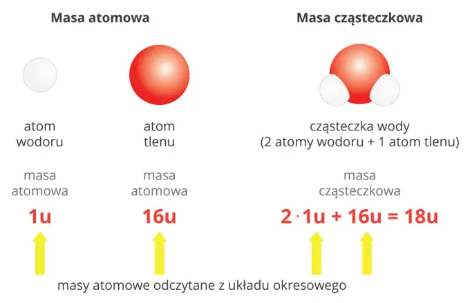 Masa cząsteczkowa krok po kroku - jak liczyć bez pomyłek