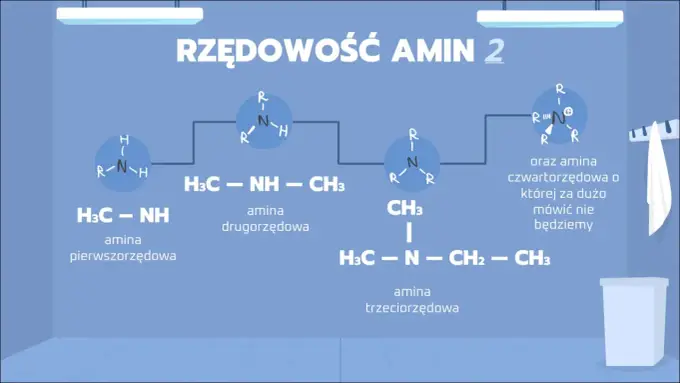 Amidy w chemii organicznej - budowa, nazewnictwo i reakcje