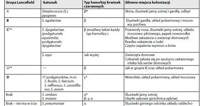 Paciorkowiec - kiedy jest groźny? GAS, GBS - objawy i leczenie