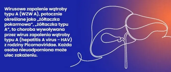 WZW typu A - objawy, leczenie, profilaktyka i szczepienia