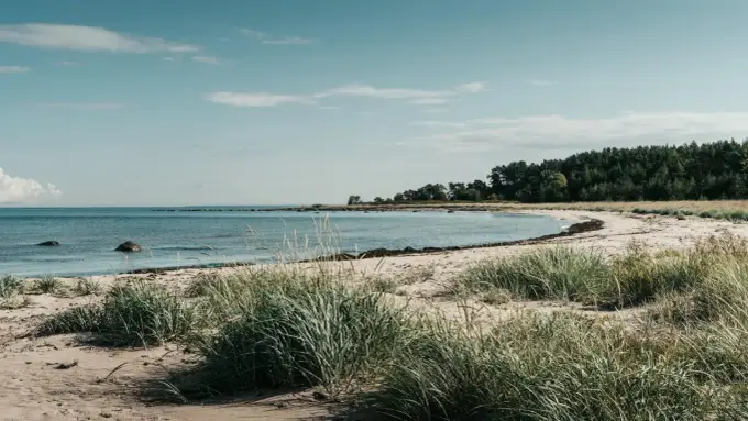 Gdańsk nad morzem - Która plaża pasuje do Twojego planu dnia?