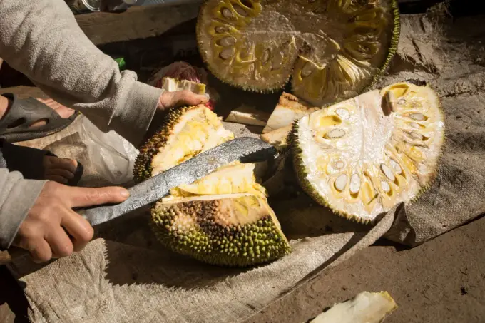 Jackfruit - owoc o dwóch twarzach? Jak go używać w kuchni