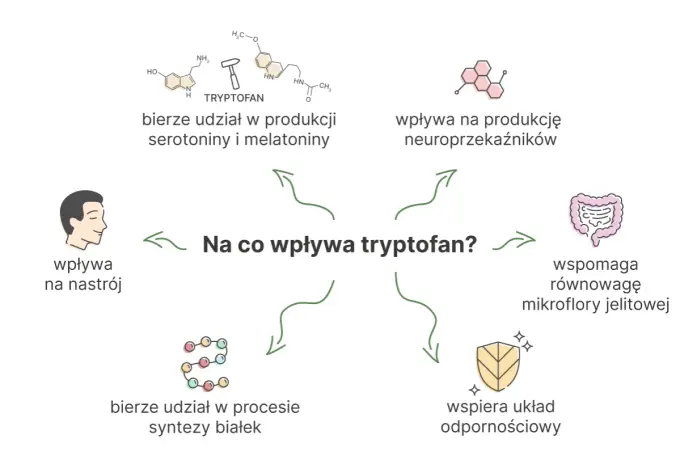 Tryptofan - aminokwas na sen i nastrój? Sprawdź, jak działa!