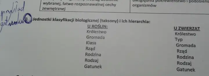 Jednostki klasyfikacji biologicznej: od domeny do gatunku