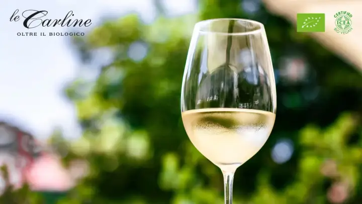 Calice di vino bianco Le Carline, certificato Bio Vegan. Scopri cosa sono i solfiti e la qualità dei nostri vini.