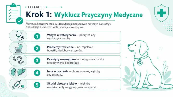 Pies popuszcza kał? Przyczyny i pomoc - Poradnik