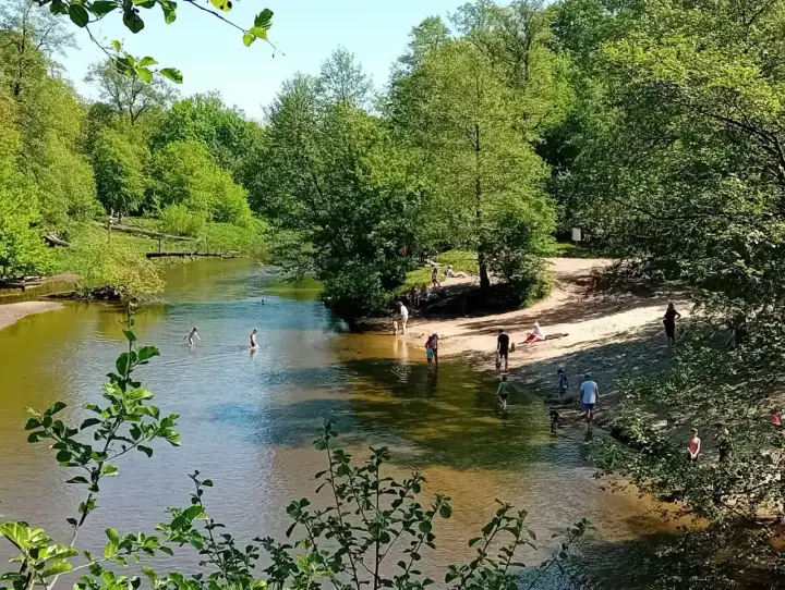 Słoneczny dzień nad Świdrem. Ludzie kąpią się i odpoczywają na piaszczystej plaży wśród zieleni.