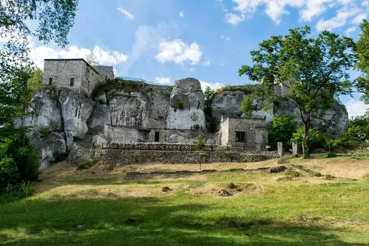 Ruiny zamku na skale, zielona trawa i drzewa. Wspaniałe morsko atrakcje dla miłośników historii i przyrody.