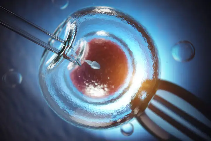 Sperm wstrzykiwany do komórki jajowej. Zastanawiasz się, ile kosztuje in vitro?