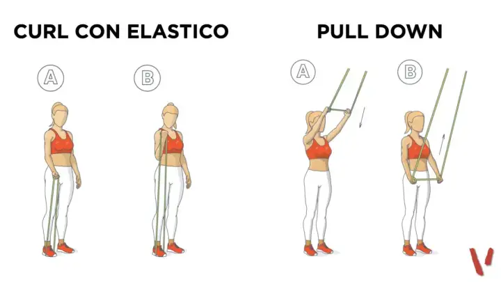 Esercizi con elastici: curl per bicipiti e pull down per la schiena, illustrati con posizioni A e B.