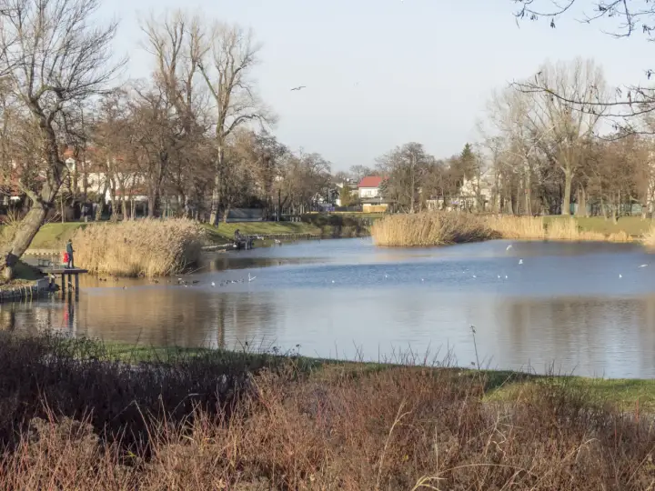 Stawy Cietrzewia Warszawa: Przewodnik po zielonej oazie