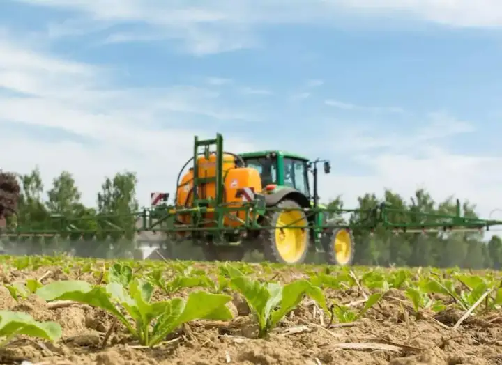 Zielony traktor z opryskiwaczem, zawierającym etofumesat, chroni młode buraki przed chwastami na polu.
