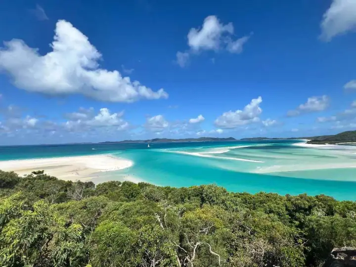Widok na Whitehaven Beach z góry: turkusowa woda, biały piasek i zieleń.