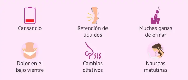 Síntomas comunes de 4 semanas de embarazo: cansancio, retención de líquidos, ganas de orinar, dolor bajo vientre, cambios olfativos y náuseas matutinas.