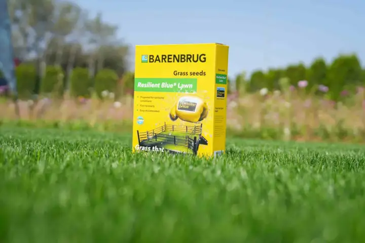 Żółte opakowanie nasion trawy Barenbrug Resilient Blue Lawn na tle zielonej trawy. Idealne dla trawników, które walczą o przetrwanie.