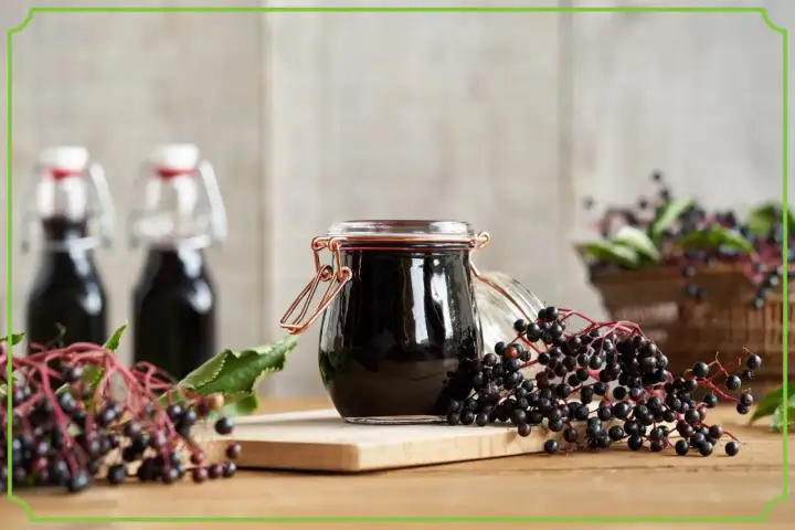 Czarny bez w ciąży - Kiedy jest bezpieczny, a kiedy go unikać?