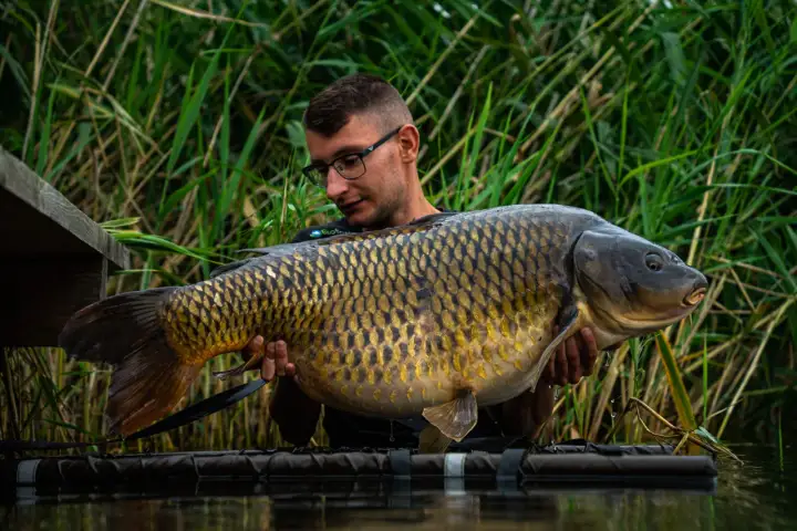 Extra Carp Radymno: Przewodnik, Cennik i Ryby - Złów Giganta!