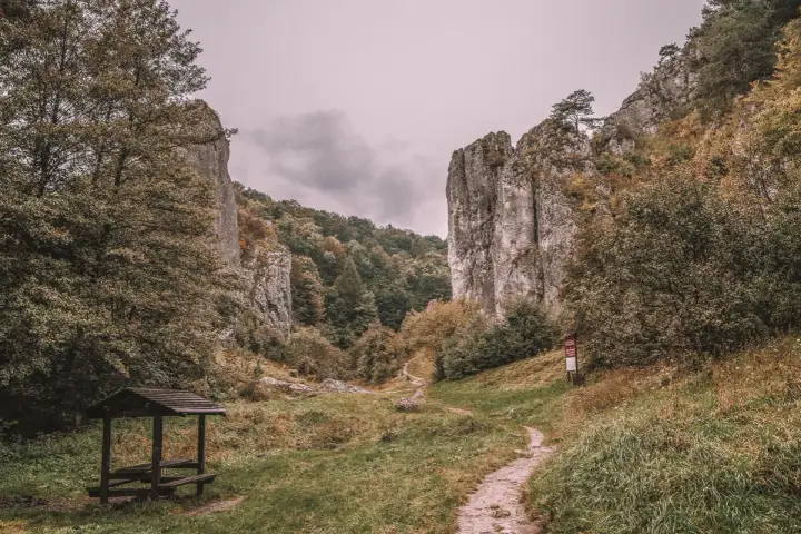 Najlepsze dolinki pod Krakowem z dzieckiem: Trasy, atrakcje, porady