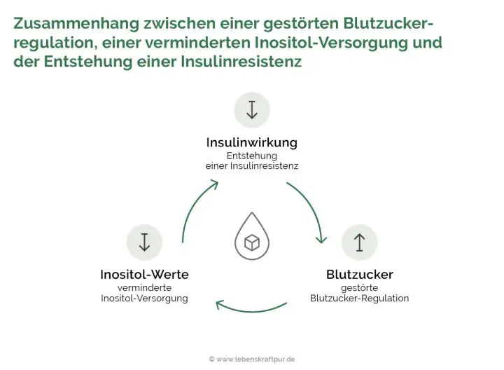 Diagramm zeigt den Kreislauf: verminderte Inositol-Werte beeinflussen die Insulinwirkung und Blutzuckerregulation, was zu Insulinresistenz führt. Die inositol wirkung ist hier zentral.