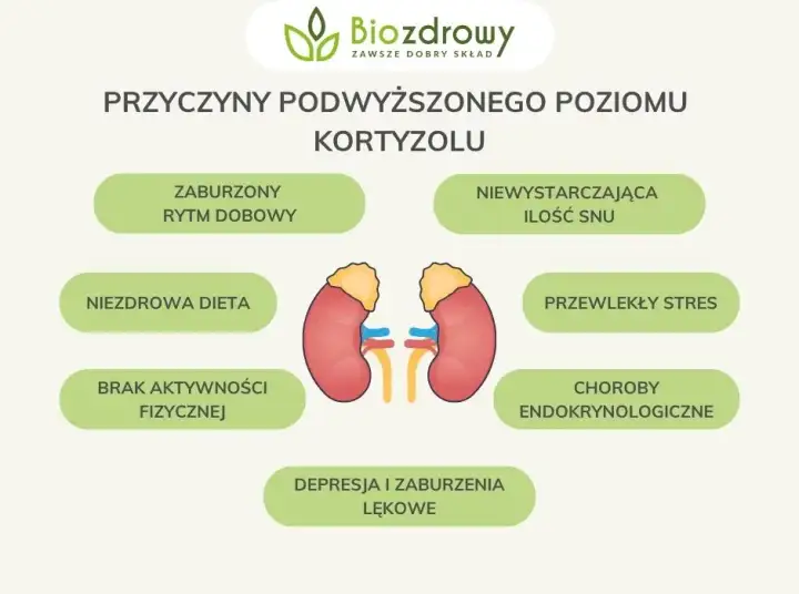 Jak obniżyć kortyzol? Sprawdzone suplementy i porady eksperta