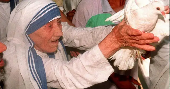 Matka Teresa z Kalkuty - prawda o zarzutach i kontrowersjach