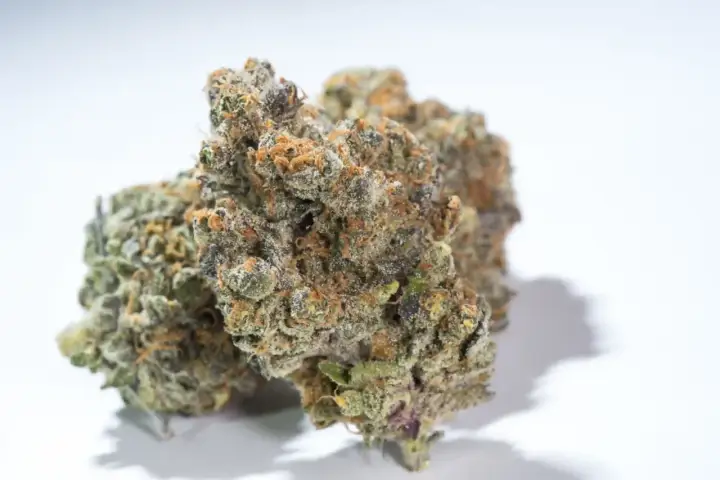 THC - Co to jest i jak działa? Różnice z CBD i bezpieczeństwo
