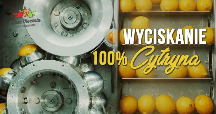 Wyciskanie 100% cytryny. Zobacz, ile cytryn na litr soku powstaje w naszej naturalnej tłoczni.