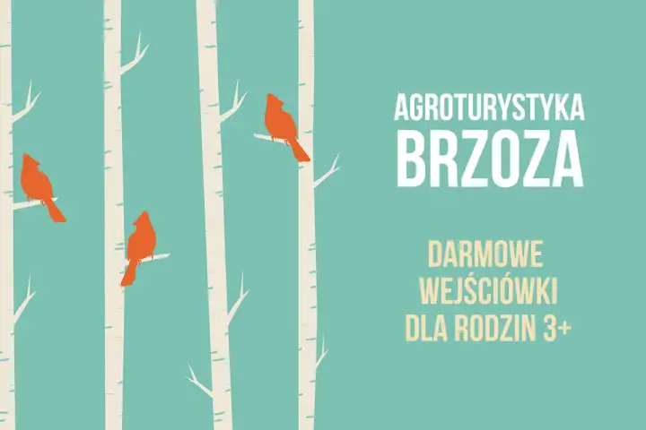 Agroturystyka Brzoza: Rodzinny wypoczynek pod Toruniem. Atrakcje!