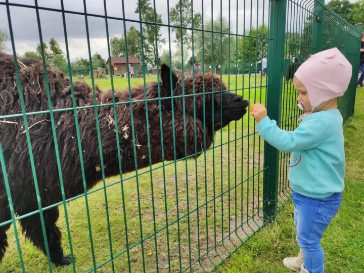 Zoo nad morzem - Które wybrać, by dzień był udany?