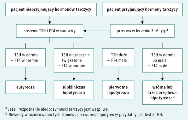 Euthyrox a TSH: Kiedy przyjąć lek przed badaniem?