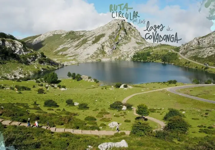 Un perro disfruta de la ruta circular por los lagos de Covadonga, con un paisaje montañoso y un lago sereno.