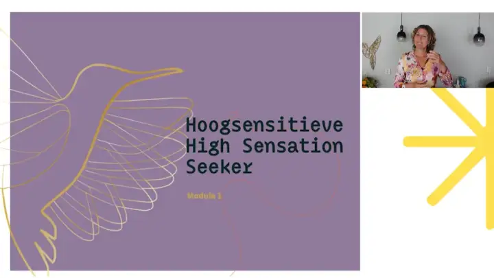 Wat is HSS? Een introductie tot Hoogsensitieve High Sensation Seekers, met een vogel en een vrouw die uitleg geeft.