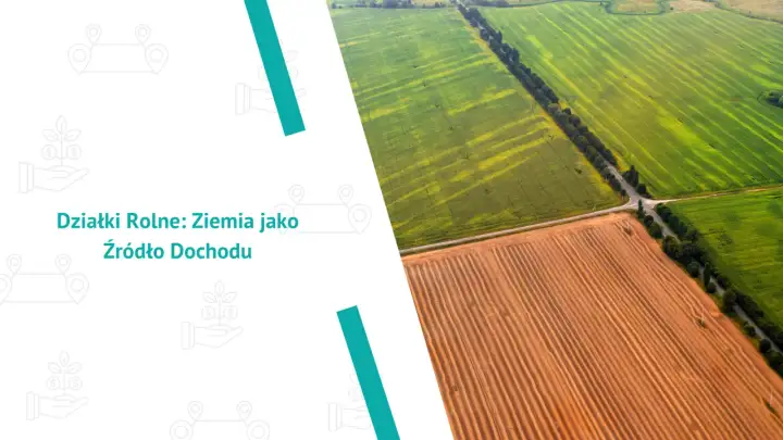 Co opłaca się uprawiać na 1 ha - Zmień ziemię w źródło dochodu