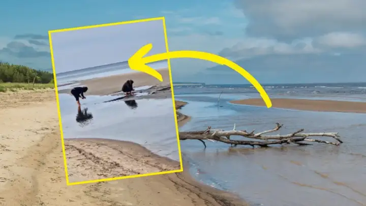 Dwie osoby badają płytką wodę na piaszczystej plaży. Morze Bałtyckie jest częścią oceanu, a ten widok pokazuje jego spokojne oblicze.
