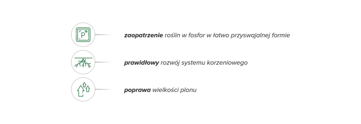 Fostar zapewnia roślinom fosfor, wspiera rozwój korzeni i poprawia wielkość plonu.