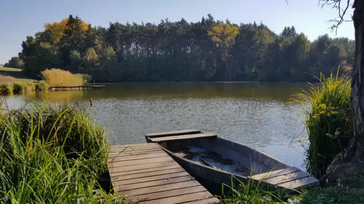 Stawy u Sikory: Wędkarstwo, agroturystyka i relaks. Twój przewodnik.