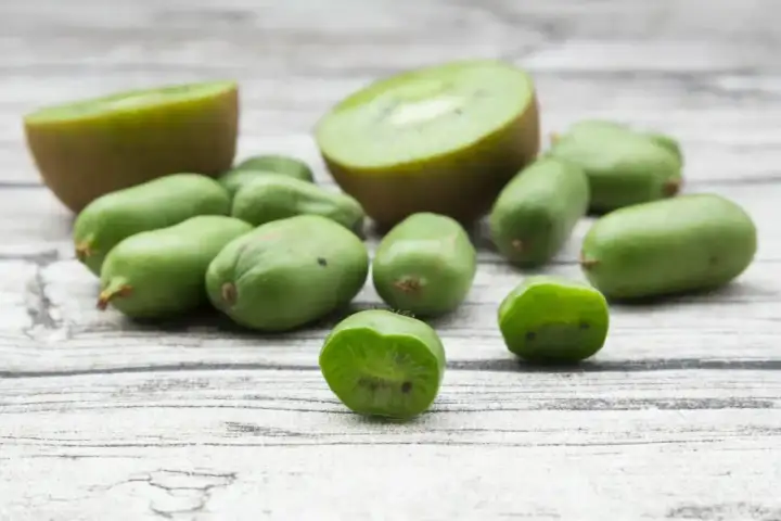 Mini kiwi, idealne do uprawy w doniczce, leżą obok przekrojonych owoców na drewnianym tle.