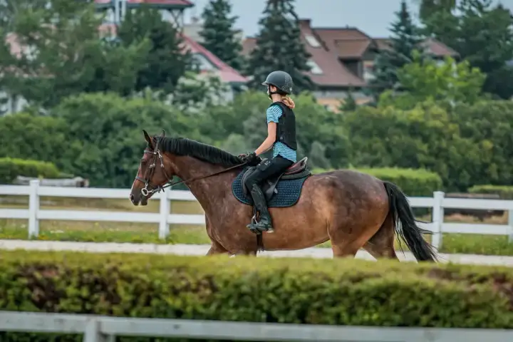 Ile kosztuje utrzymanie konia? Pełne koszty i porady!