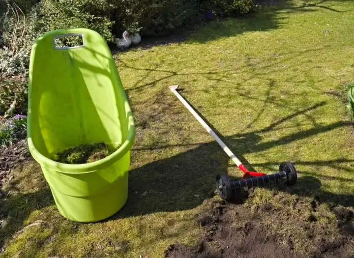 Zielony pojemnik na odpady ogrodowe i aerator do trawnika, gotowe do usunięcia mchu i resztek po zastosowaniu siarczanu żelaza.