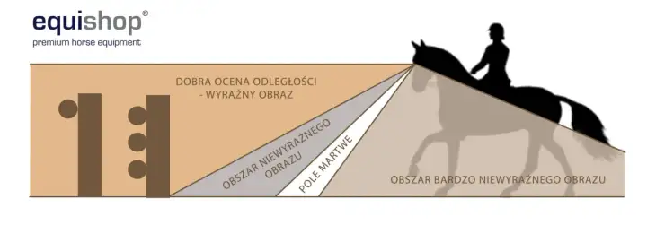 Jak widzi koń? Zrozum jego wzrok i reakcje!
