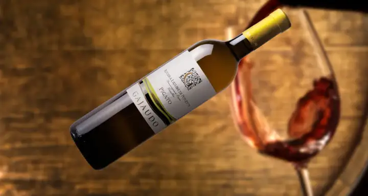 Bottiglia di Pigato Ligure Gajaudo, con un bicchiere di vino rosso in movimento sullo sfondo.