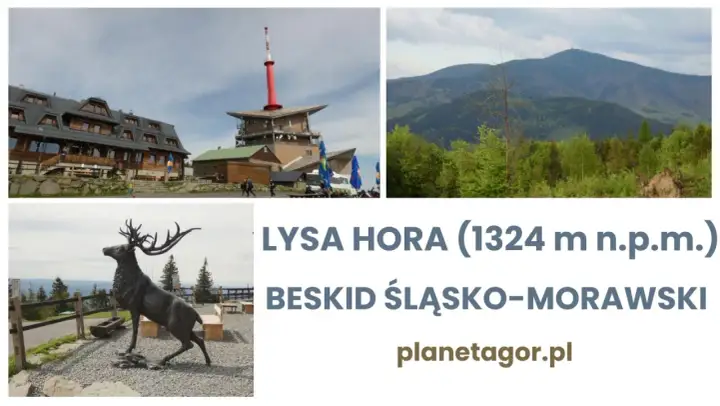 Łysa Hora, Beskid Śląsko-Morawski: budynek, wieża, krajobraz górski, rzeźba jelenia.