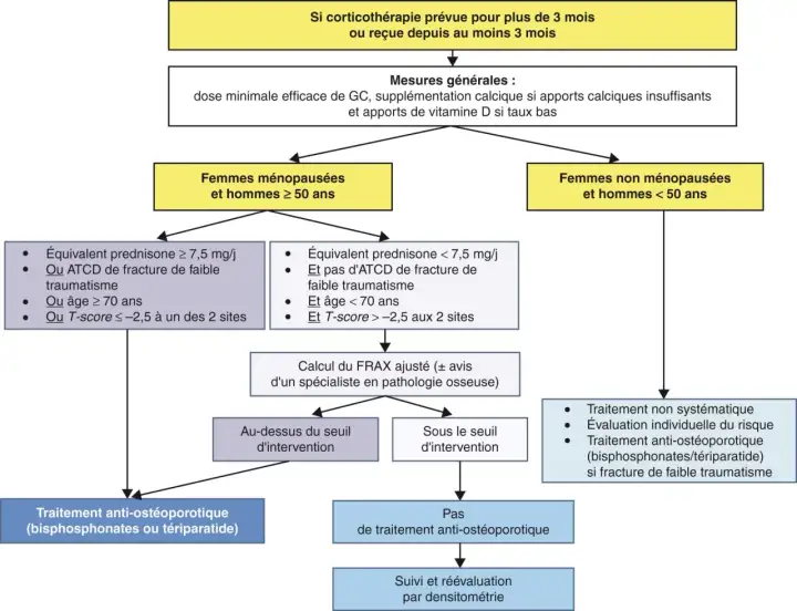 Algorithme de prise en charge de l'ostéoporose sous corticothérapie. Si équivalent prednisone ≥ 7,5 mg/j, un traitement anti-ostéoporotique est envisagé.