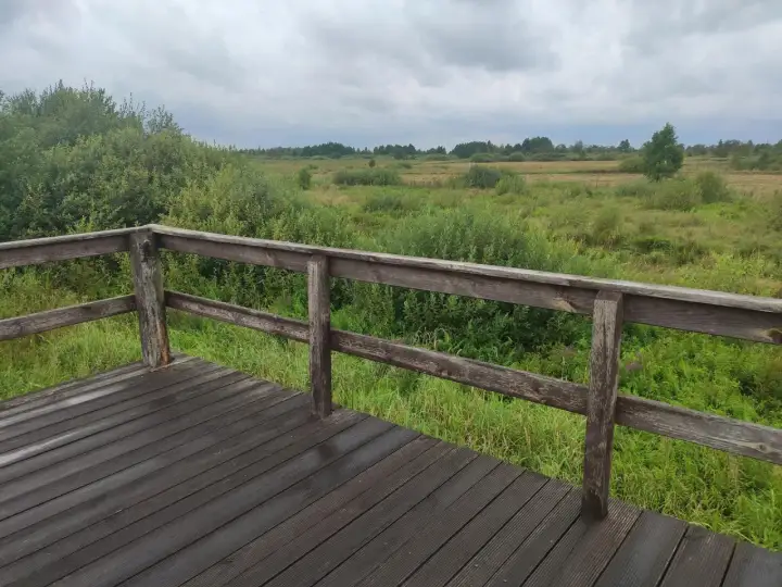 Drewniany taras widokowy z widokiem na rozległe, zielone łąki i las. Powietrze jest rześkie, a trawa wygląda jak jedwabne dywany.