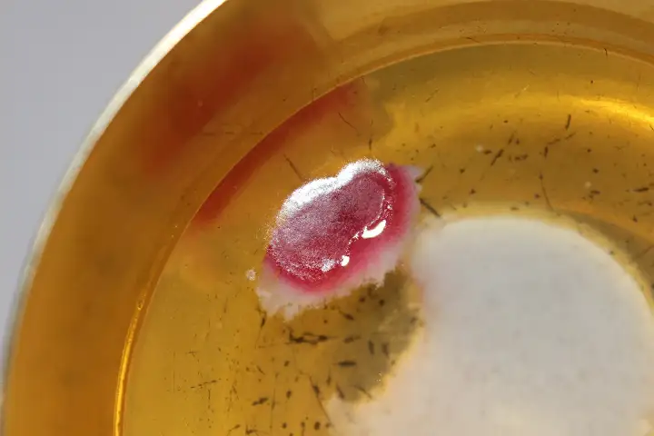 Cud eucharystyczny w Legnicy - Wyniki badań i jak zaplanować wizytę?