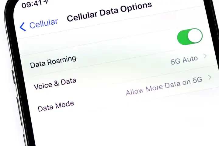 Ustawienia telefonu: jak włączyć roaming danych. Widoczny przełącznik "Data Roaming" jest włączony.