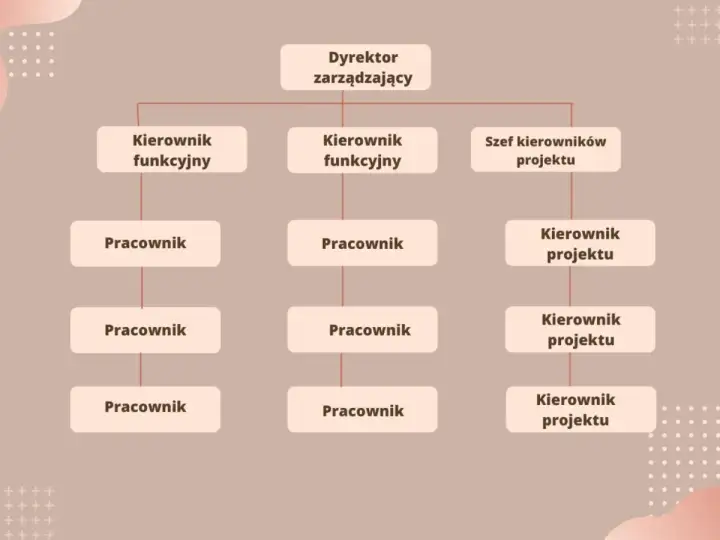 Struktura organizacyjna firmy - Jak ją optymalizować?