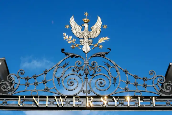 Dyplom uczelni - Co naprawdę znaczy dla Twojej kariery?